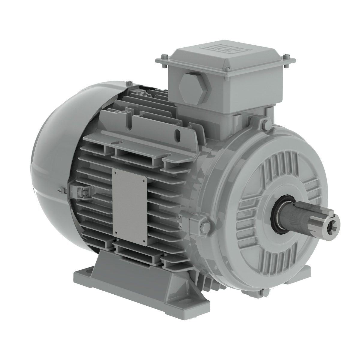 WEG W20 series electric motor