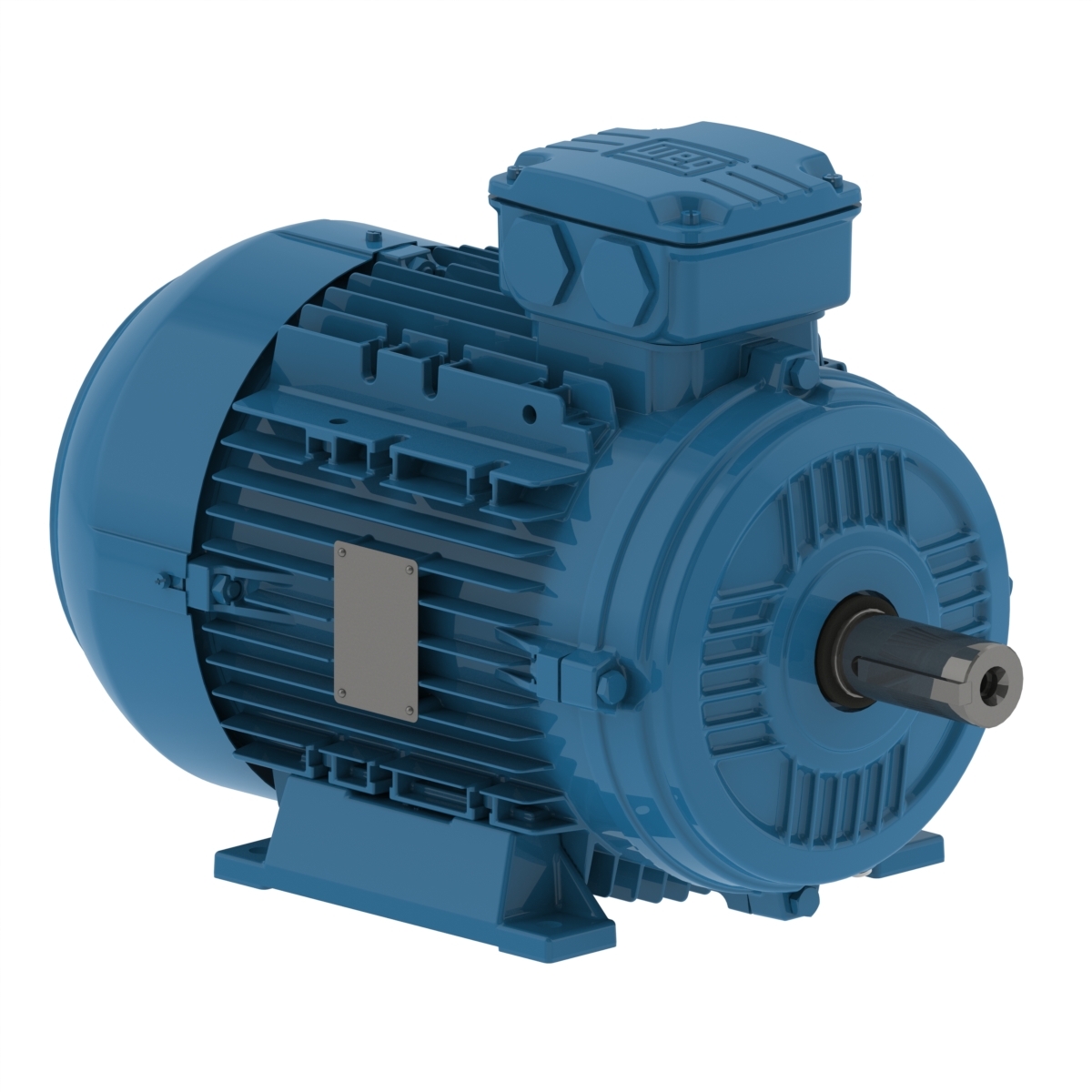 WEG W21 series electric motor