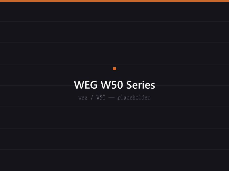 WEG W50 heavy duty medium voltage motor